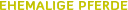 Ehemalige Pferde